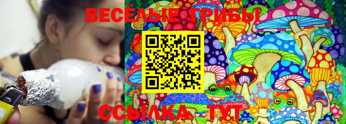Димитровград  Псилоцибиновые грибы Psilocybe  Вход с VPN 